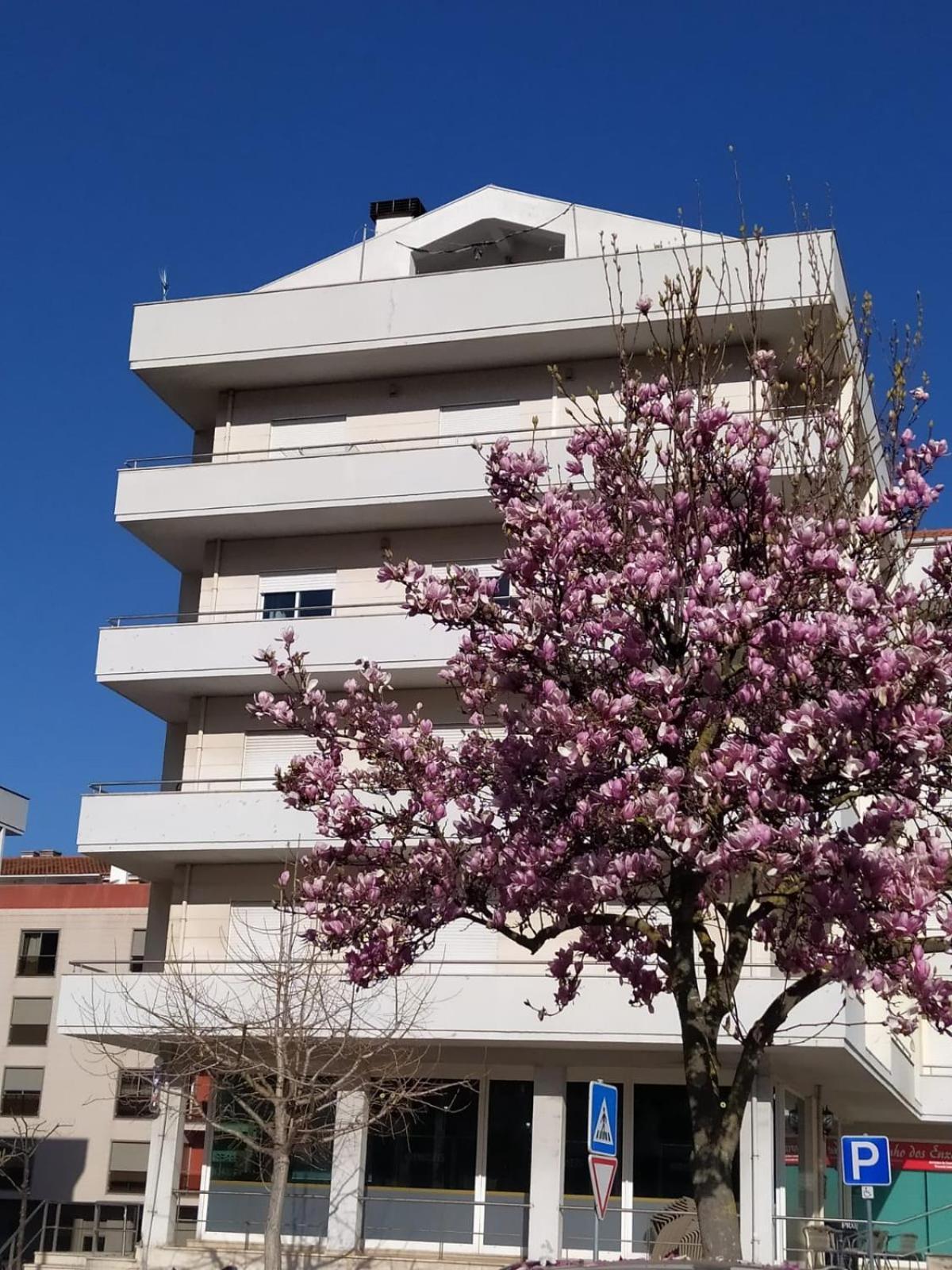 Lousa Varandas House Exterior foto